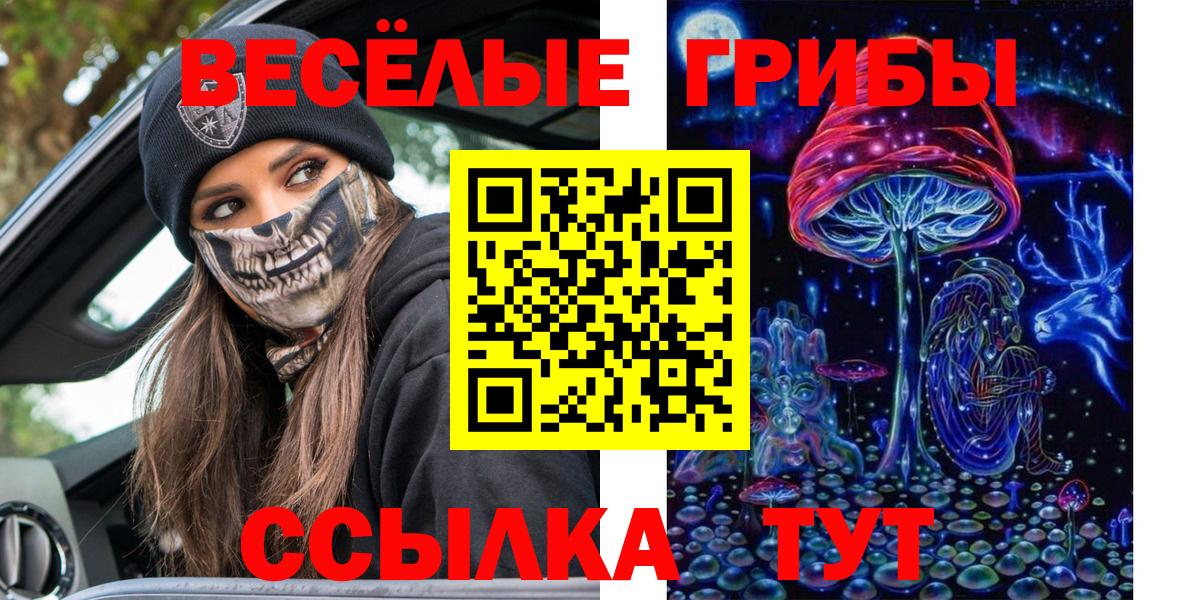 Псилоцибиновые грибы ЛСД Новошахтинск